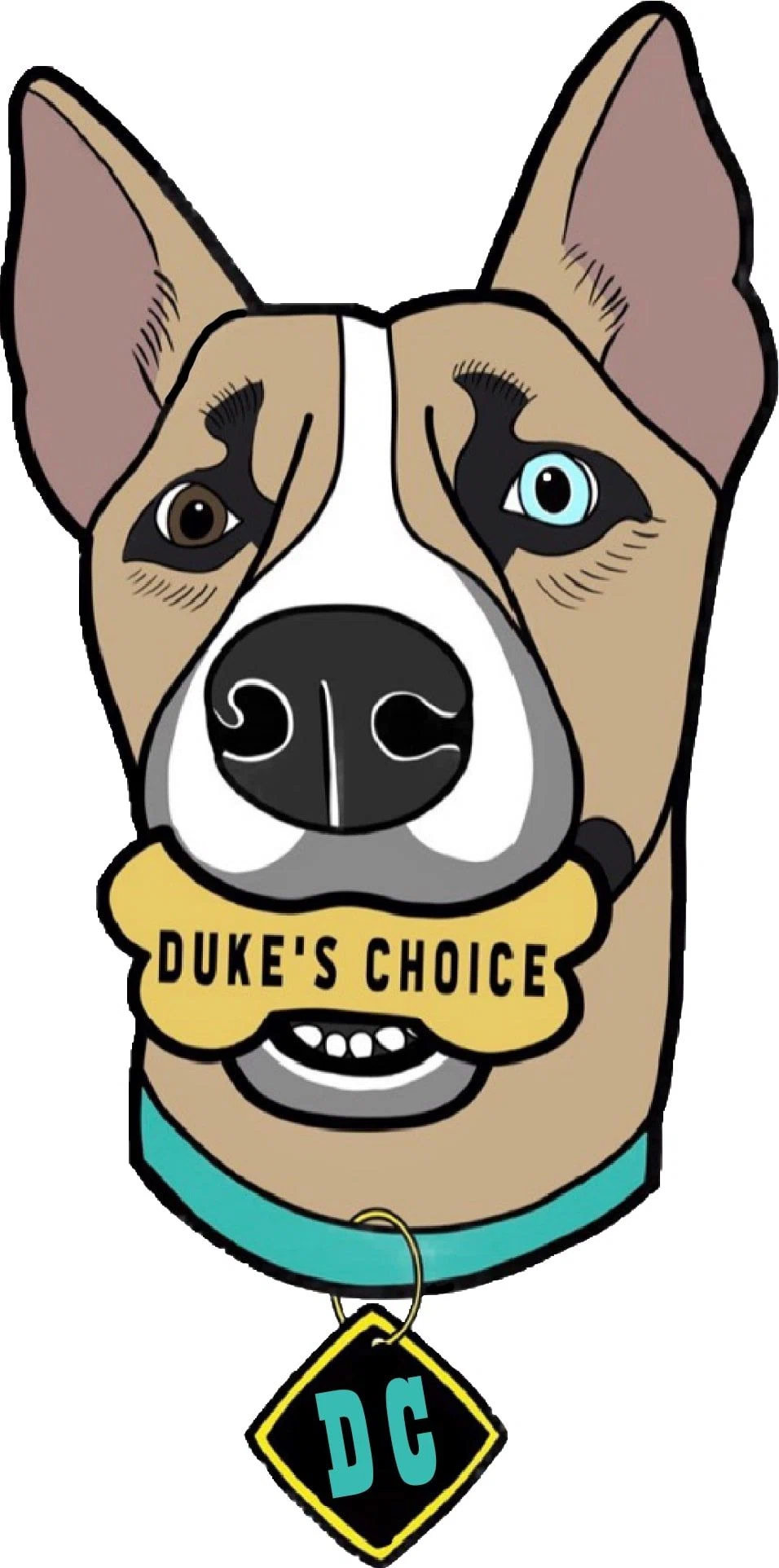 Dukeschoice logo