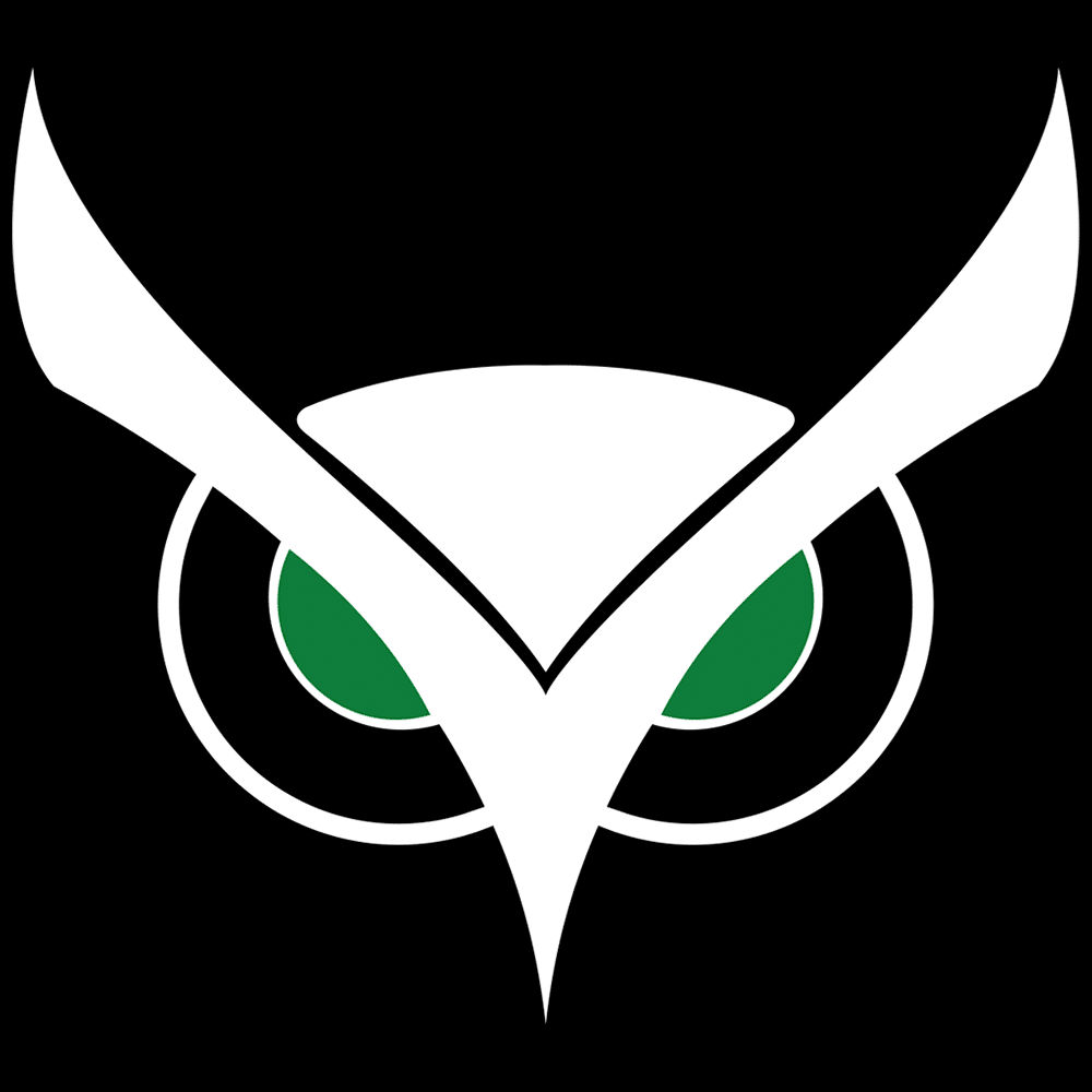 Usnighthawk logo