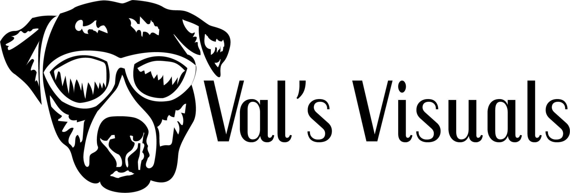 Valsvisuals logo