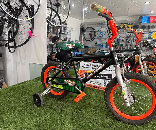 Dino Wild Children Bike - with balancers