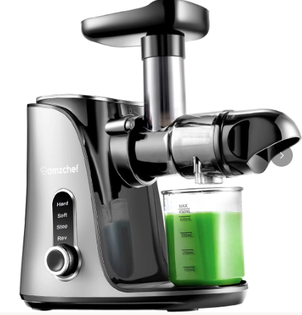 AMZCHEF Slow Juicer with Two Speed Modes GM3001 Gray