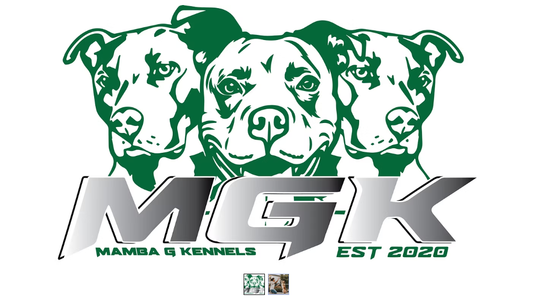 Store logo