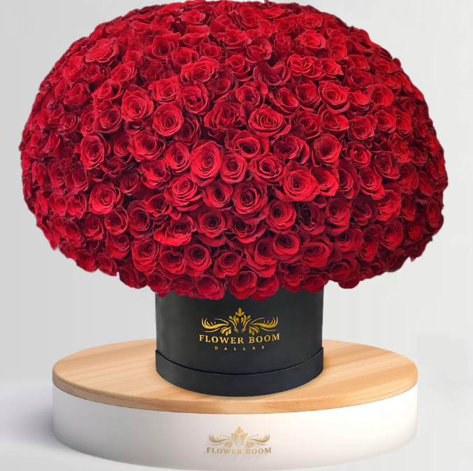 300 Red Rose Box