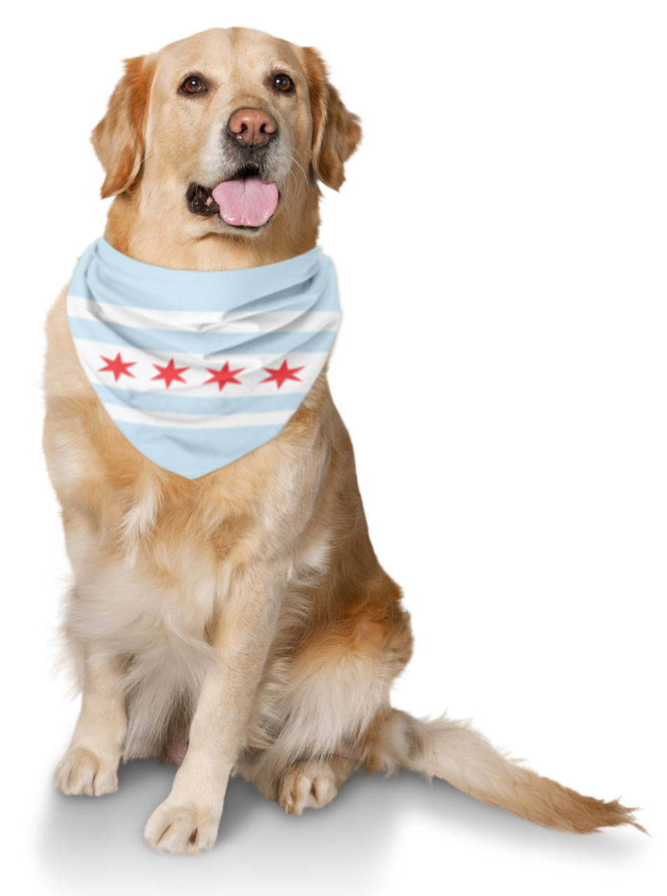 Chicago Flag Dog Bandana