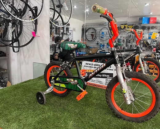 Dino Wild Children Bike