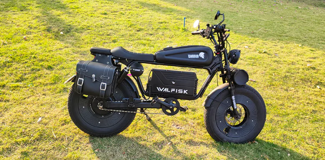 Walfisk ET-7 Electric Bicycle/Motorcycle Large capacity Side bag With Water Cup Cover(Customized product do not support return)
