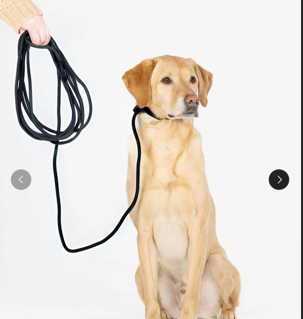 Ragnar Long Line Slip Leash