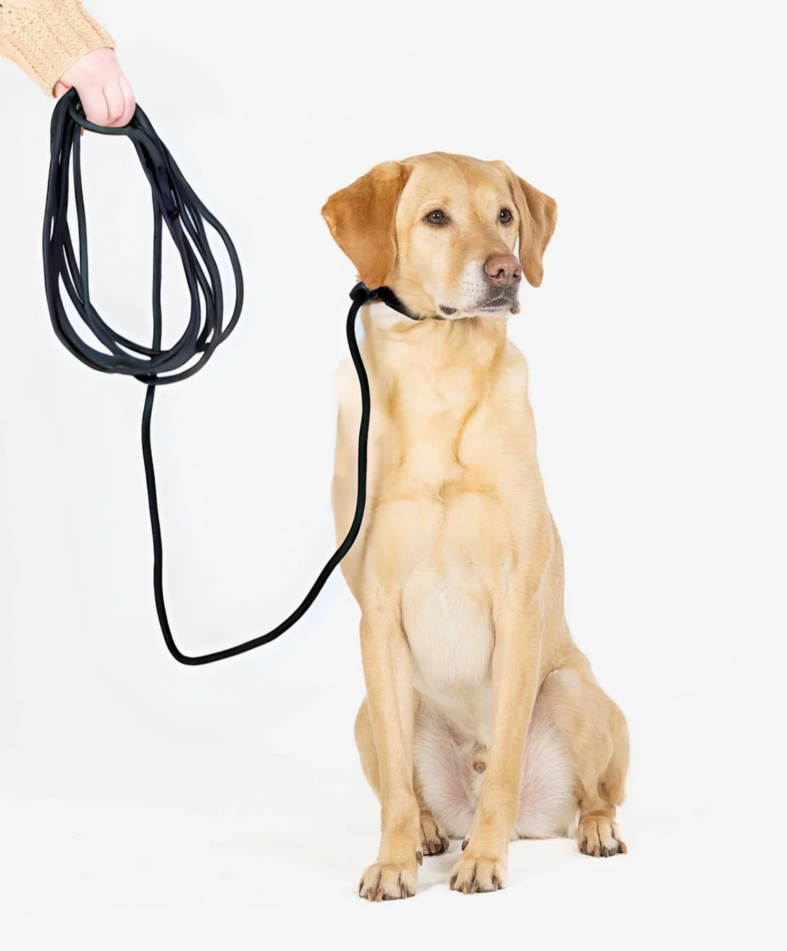 Ragnar Long Line Slip Leash