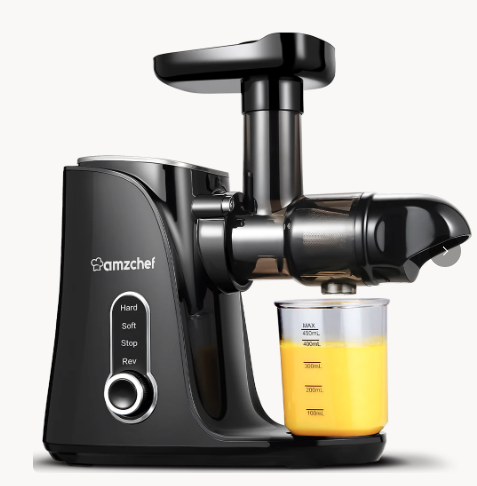 AMZCHEF Slow Juicer with Two Speed Modes GM3001 Black