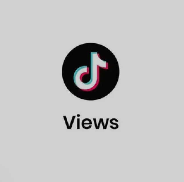 4000 TikTok Views