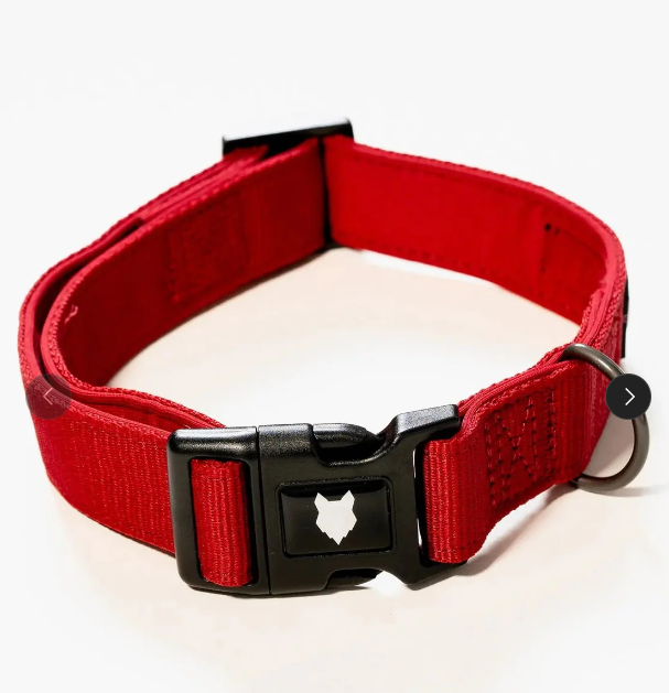 Ragnar Dog Collar