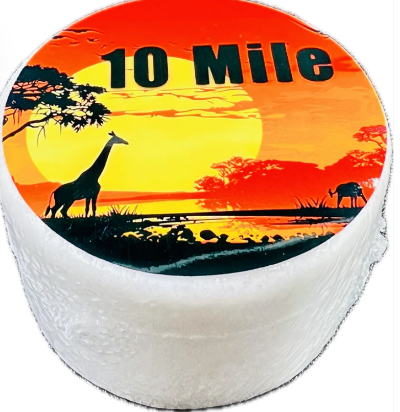 Store logo